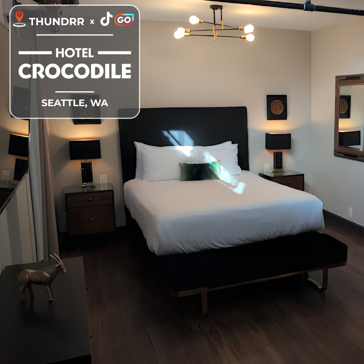 Hotel Crocodile