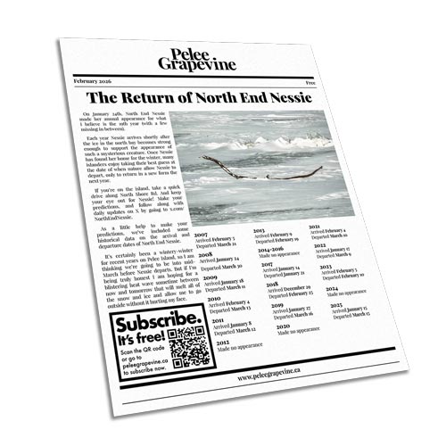 The first page of the February 2026 issue of the Pelee Grapevine.