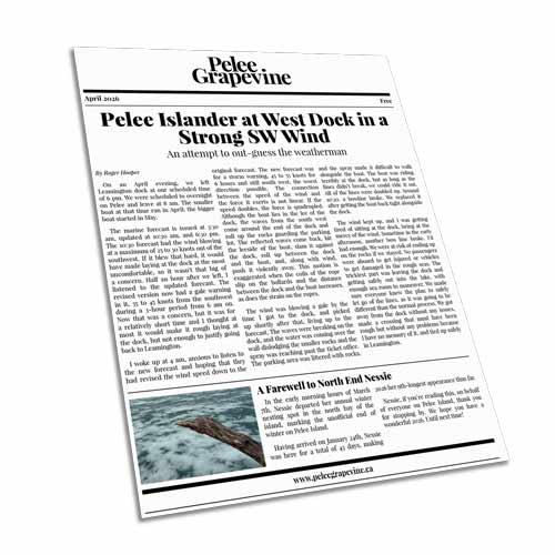 The first page of the February 2026 issue of the Pelee Grapevine.