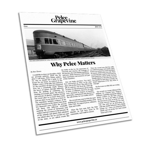 The first page of the February 2026 issue of the Pelee Grapevine.