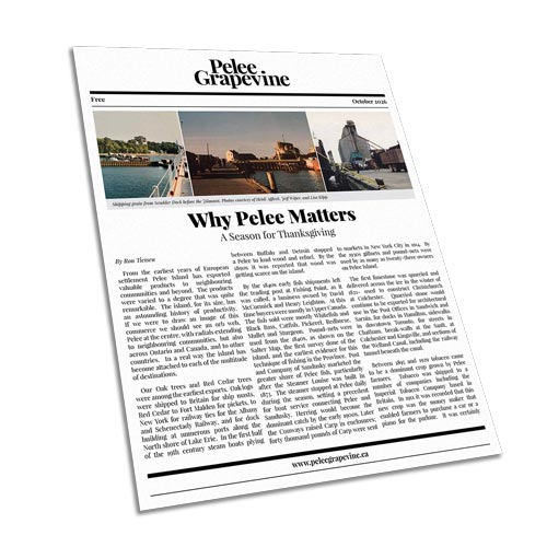 The first page of the February 2026 issue of the Pelee Grapevine.