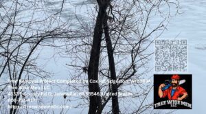 Tree Removal Project Completed on Cox Rd, Edgerton, WI 53534