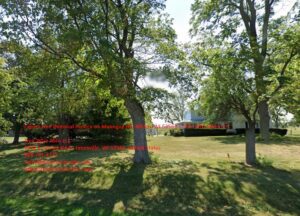 Expert Tree Removal Service on Manogue Rd, Milton, WI 53563 | Tree Wise Men LLC