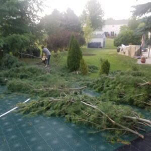 Tree Removal Service Project Completed on County Rd F, Janesville, WI 53545