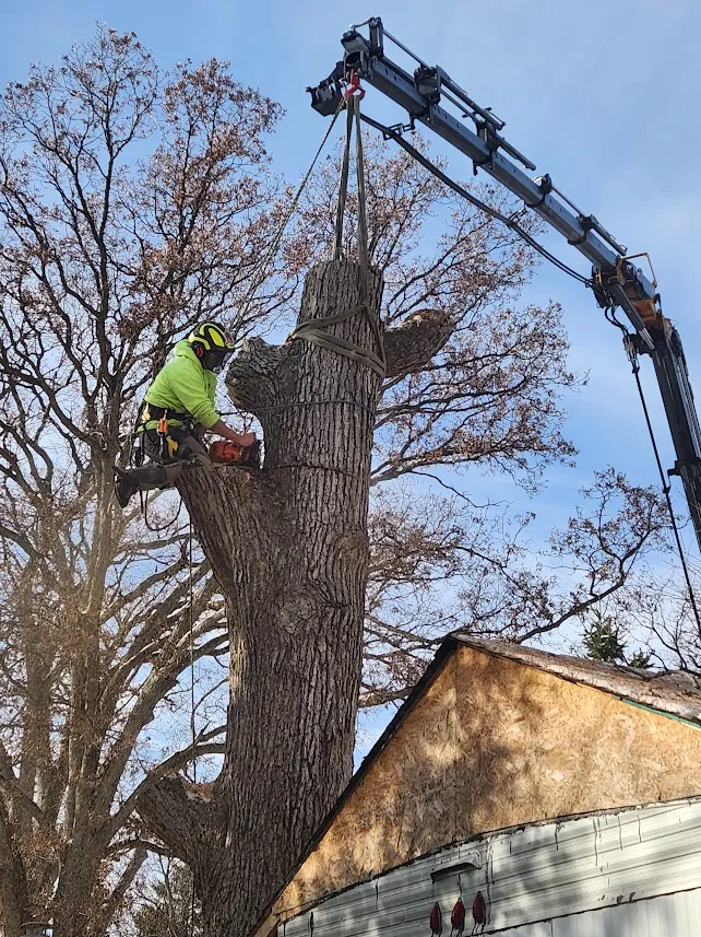ELEVATING ARBORICULTURE STANDARDS IN ROCK COUNTY WISCONSIN