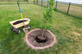 # What to Plant After Tree Removal? Removing a tree from your yard can leave an empty space that feels like it needs a new purpose. Whether you want to improve your landscape, add shade, or grow something functional, choosing the right plants for the spot is important. Here's a guide to help you decide what to plant after tree removal and how to make the most of your newly available space. --- ## Why Plant After Tree Removal? After a tree is removed, the area can feel incomplete or barren. Planting something new brings multiple benefits: - **Enhances Curb Appeal**: A new plant can fill the space and make your yard look more attractive. - **Improves Soil Health**: Plants and shrubs help stabilize the soil and prevent erosion. - **Personal Enjoyment**: Adding flowers, shrubs, or trees brings beauty and life to your landscape. --- ## Factors to Consider Before Planting Before choosing what to plant, keep these considerations in mind: ### 1. **Condition of the Soil** Tree roots often deplete the soil of nutrients, leaving it compacted and less fertile. Test the soil and amend it with compost or organic matter if needed to make it ready for planting. ### 2. **Leftover Tree Stump or Roots** If the tree stump hasn’t been removed, or there are large roots left behind, this can limit planting options. Consider **stump grinding** or clearing the area to create a fresh planting space. ### 3. **Sunlight Availability** The removal of a tree can drastically change how much sunlight the area gets. Assess the sunlight exposure and choose plants that thrive in those conditions (full sun, partial shade, etc.). ### 4. **Purpose of Planting** Think about your goals for the space: - Do you want a new shade tree? - Are you looking for decorative plants? - Would you prefer something low-maintenance? --- ## Best Options to Plant After Tree Removal ### 1. **Grass or Lawn** If you want a clean and open look, planting grass is a simple and effective option. It’s perfect for yards where you want a play area or a neat appearance. ### 2. **Shrubs and Bushes** Shrubs are a versatile choice, offering structure and greenery to your landscape. Choose from: - **Flowering Shrubs** like hydrangeas or azaleas for a pop of color. - **Evergreen Shrubs** like boxwood or juniper for year-round greenery. ### 3. **New Trees** Replacing the removed tree with a new one is an excellent option, especially if you want to restore shade or add privacy. Consider: - **Fast-Growing Trees** like maple or birch for quick results. - **Small Ornamental Trees** like dogwood or cherry blossoms for beauty and color. ### 4. **Flower Beds** Transform the area into a vibrant flower bed with perennial flowers such as tulips, daisies, or lavender. Flower beds add charm and attract pollinators like bees and butterflies. ### 5. **Fruit Trees or Edible Plants** If you enjoy gardening, plant fruit trees (apple, pear) or edible plants like herbs, berries, or vegetables. These not only beautify your yard but also provide a practical harvest. ### 6. **Ground Cover Plants** For areas with poor soil or limited sunlight, ground cover plants like creeping thyme, moss, or vinca are ideal. They prevent erosion and require minimal upkeep. --- ## Preparing the Area for Planting After tree removal, it’s crucial to prepare the site properly to ensure the success of your new plants: ### 1. **Remove Leftover Roots and Debris** Clear the area of any remaining roots, branches, or debris from the removed tree. This prevents interference with new plant growth. ### 2. **Amend the Soil** - Add compost or organic matter to replenish nutrients. - Test the pH level of the soil and adjust it based on the needs of your chosen plants. ### 3. **Plan the Layout** Decide the placement of your plants to ensure proper spacing and aesthetic balance. ### 4. **Water and Mulch** Water the area thoroughly after planting and apply mulch to retain moisture and prevent weeds. --- ## Long-Term Care for New Plants To ensure the success of your new plants, follow these care tips: - **Water Regularly**: Provide consistent watering, especially for young plants. - **Prune and Trim**: Maintain the shape and health of shrubs or trees with occasional pruning. - **Fertilize**: Feed your plants with appropriate fertilizers to encourage healthy growth. - **Monitor Sunlight**: Keep an eye on how sunlight changes in the area and adjust plants if necessary. --- ## Why Choose Tree Wise Men LLC for Tree Removal and Landscaping Advice? At **Tree Wise Men LLC**, we’re not just experts in **tree removal**, but we also help homeowners plan their landscaping after a tree is gone. Our professional services include: - **Stump Grinding** to clear the area for new plants. - **Tree Trimming** and landscaping consultations to enhance your yard. - **Tree Care Services** across **Janesville, Milton, Hanover**, and surrounding areas. We’ll help you transform your space into a beautiful and functional landscape! --- ## Conclusion Tree removal doesn’t have to leave your yard feeling empty. With the right planning and care, you can plant something new that enhances your property’s beauty and functionality. Whether you choose to plant grass, shrubs, flowers, or a new tree, the key is to prepare the area and select plants that fit your goals. Need help with **tree removal**, **stump grinding**, or landscaping advice? Contact **Tree Wise Men LLC** today and let us assist you in creating the yard of your dreams. 🌳