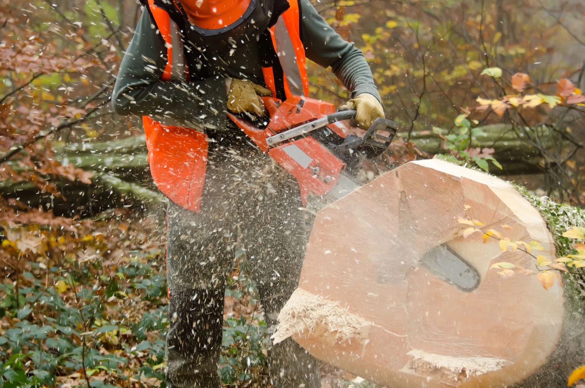 Worker with Chainsaw — Janesville, WI — Tree Wise Men LLC