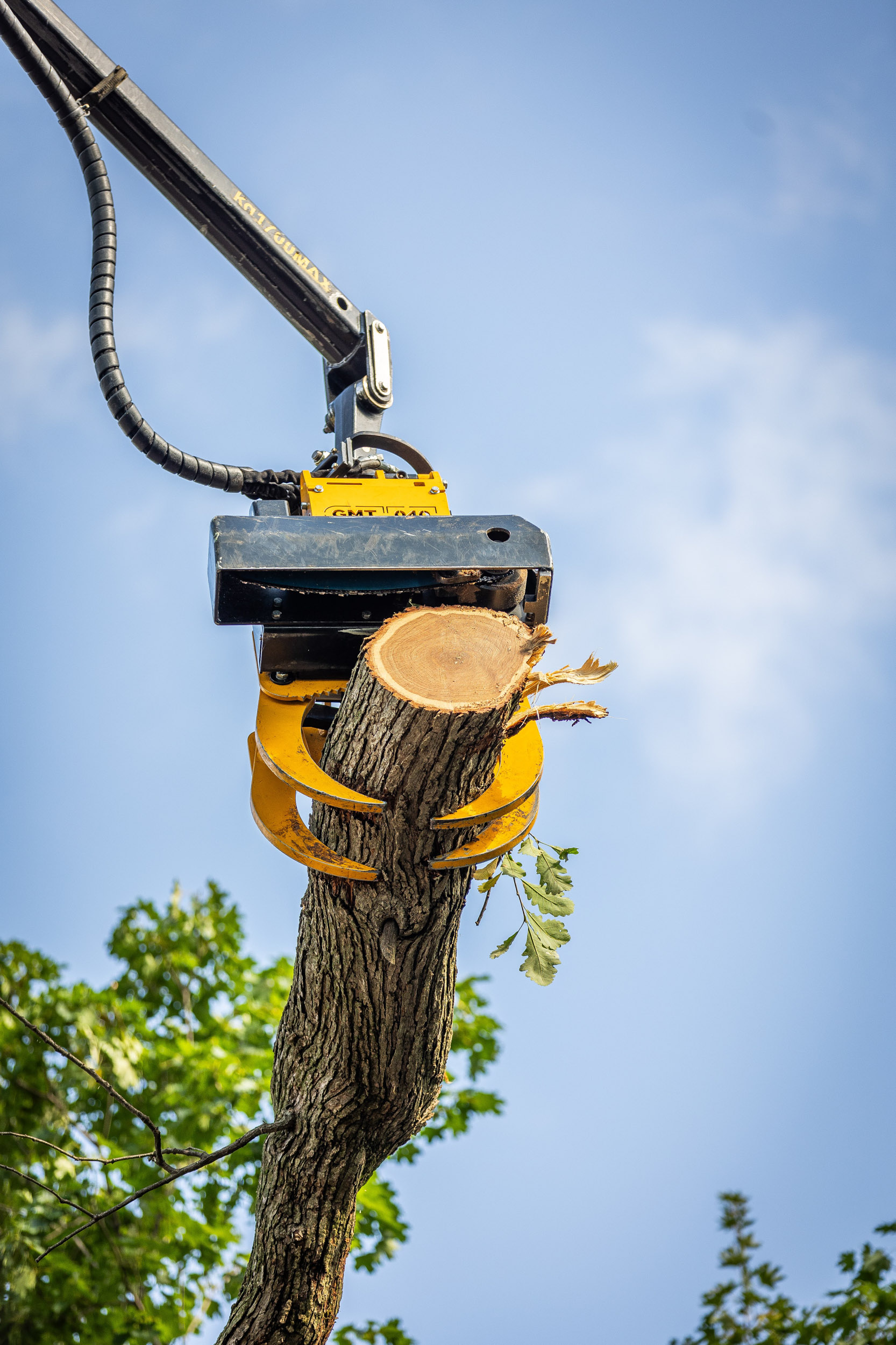 Professional tree removal service using heavy equipment in Southern Wisconsin by Tree Wise Men LLC