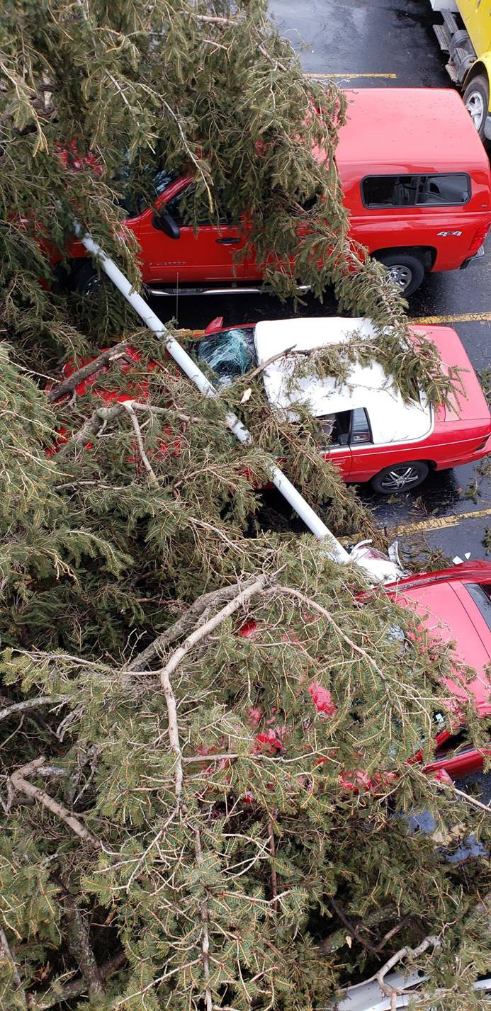 Emergency storm damage tree removal and response service in Southern Wisconsin