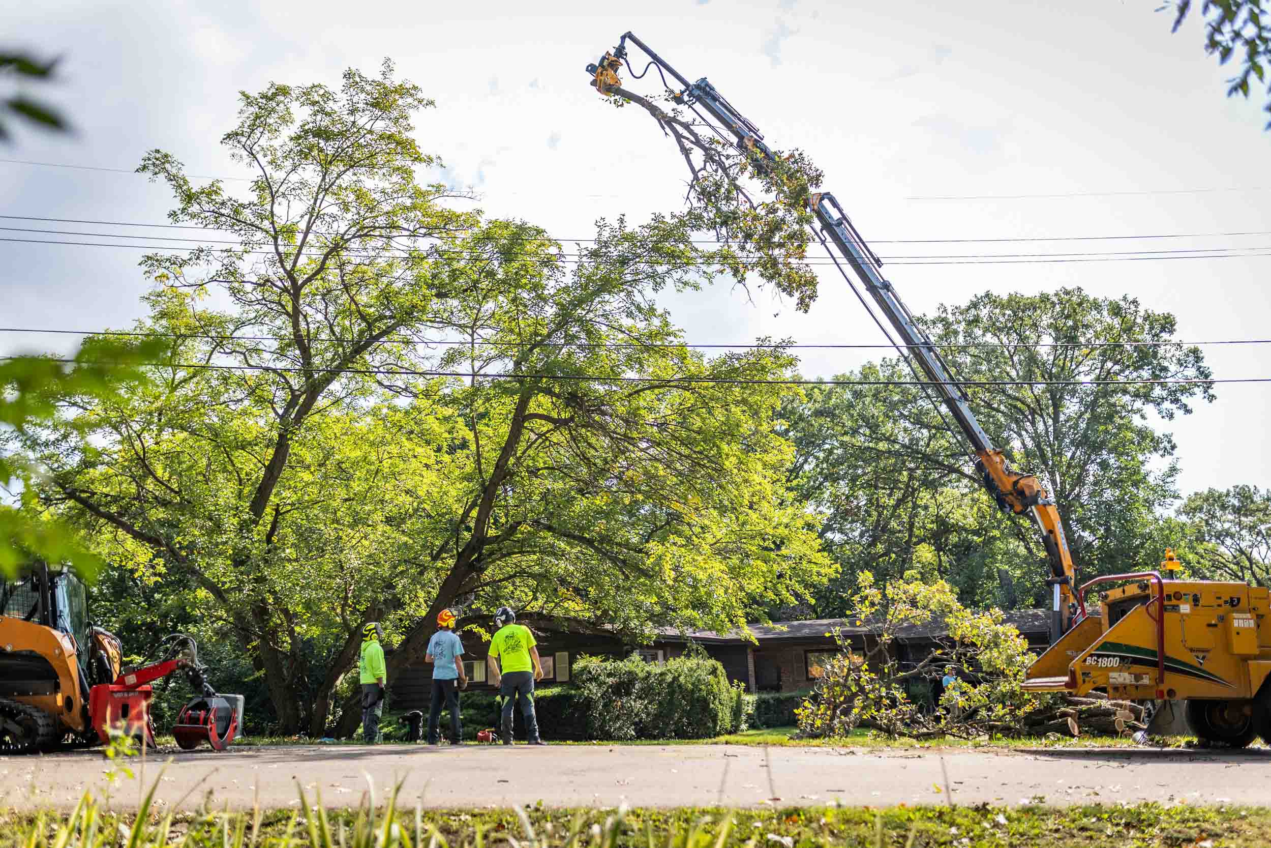 Hazardous tree removal service for dangerous and compromised trees in Southern Wisconsin
