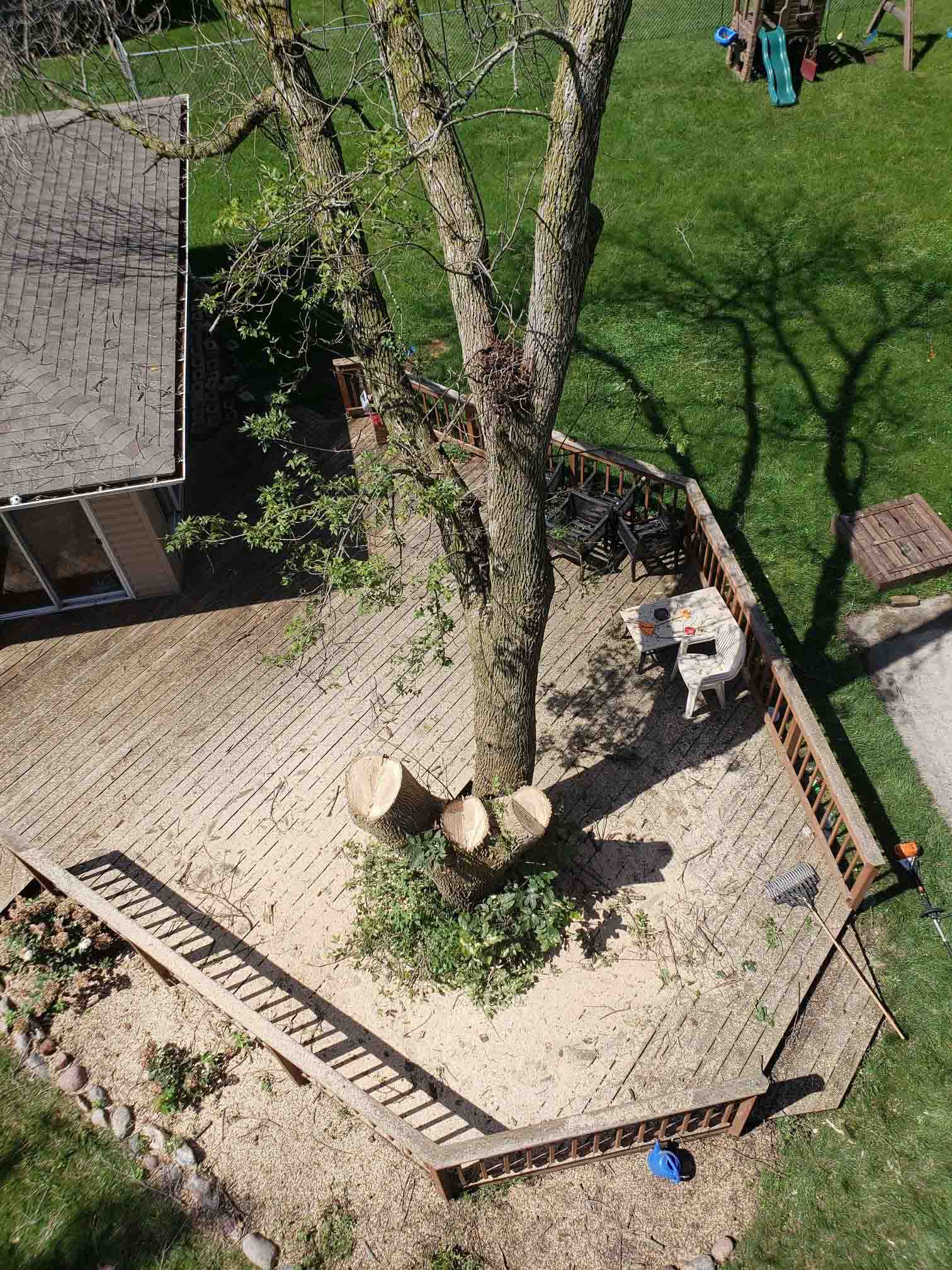 Large technical tree removal using crane-assisted equipment by Tree Wise Men LLC