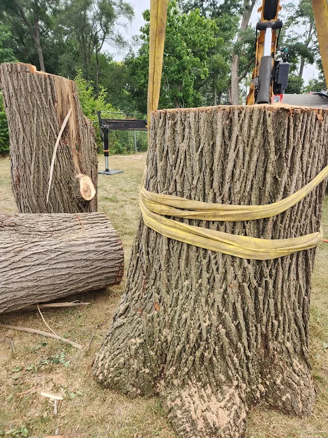 Tree removal project in Elkhorn and Machesney Park by Tree Wise Men LLC