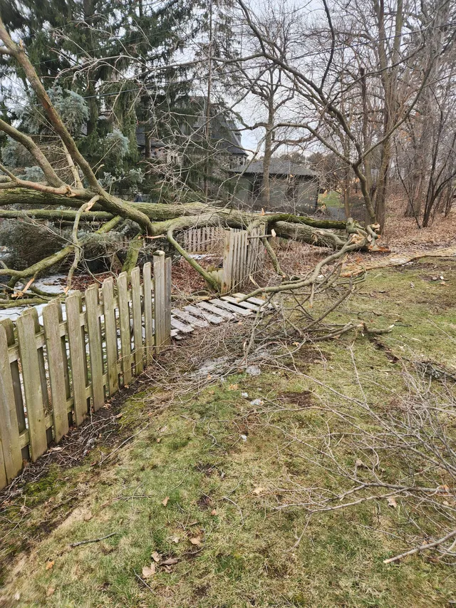 Storm damage tree removal and cleanup project by Tree Wise Men LLC