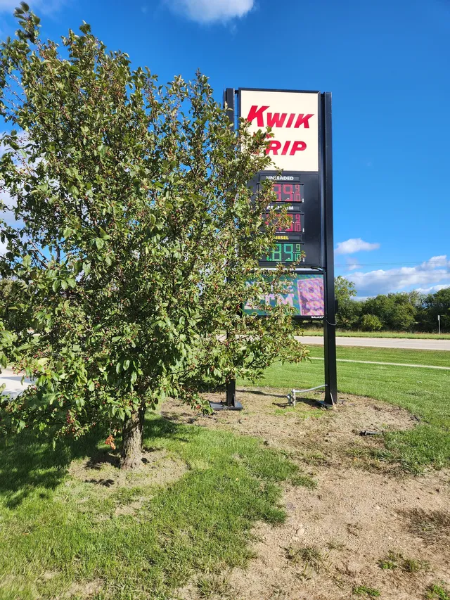 Commercial tree trimming project by Tree Wise Men LLC