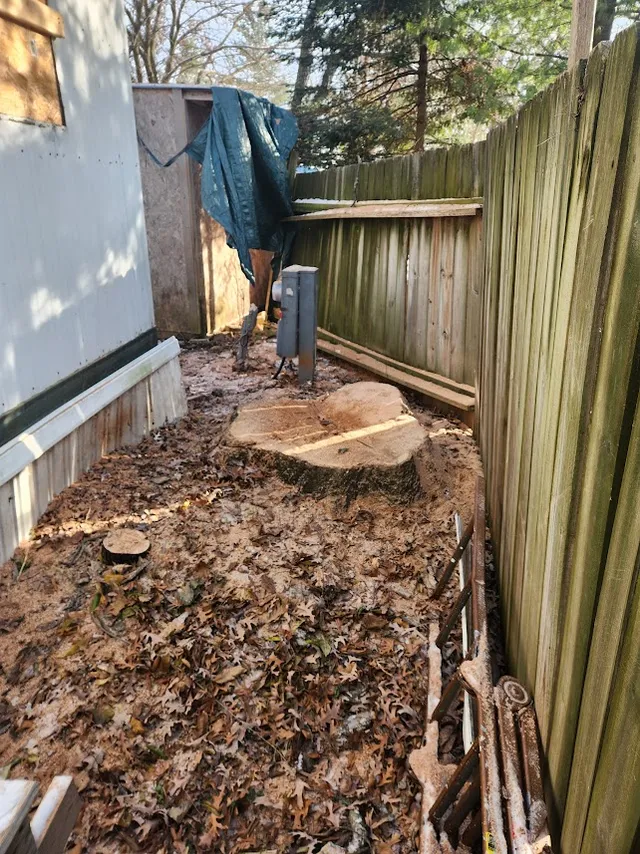 Tree removal project in Clinton Wisconsin by Tree Wise Men LLC