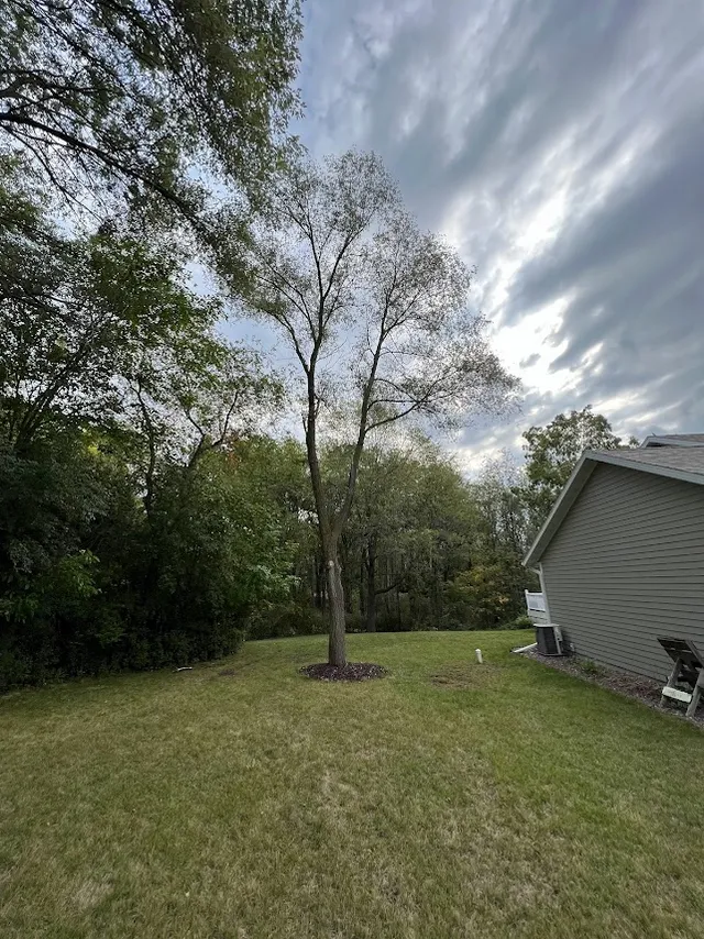Tree removal project in Elkhorn Wisconsin by Tree Wise Men LLC