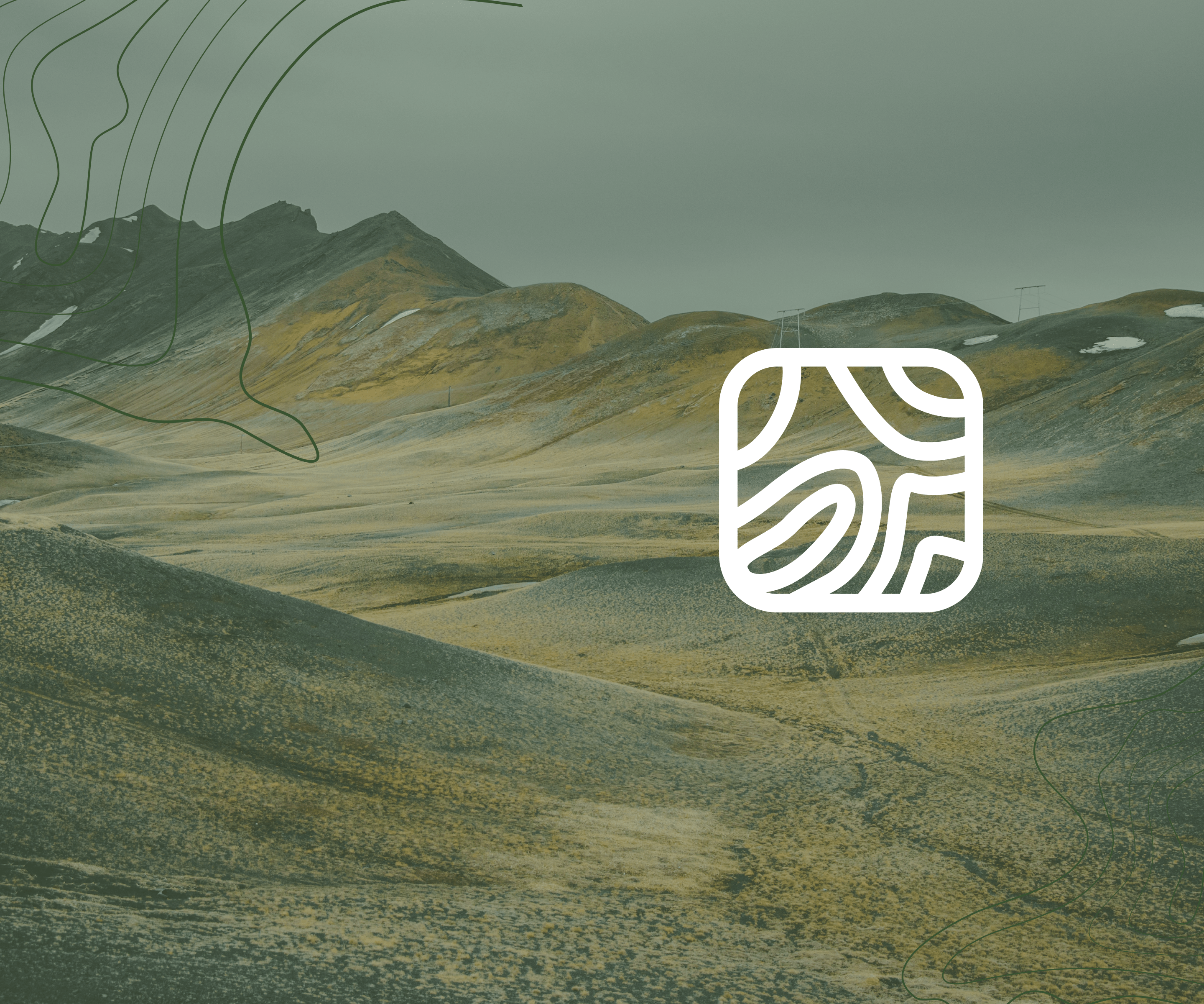 Illustration Showcase