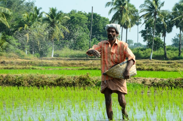 image of pest control procedures