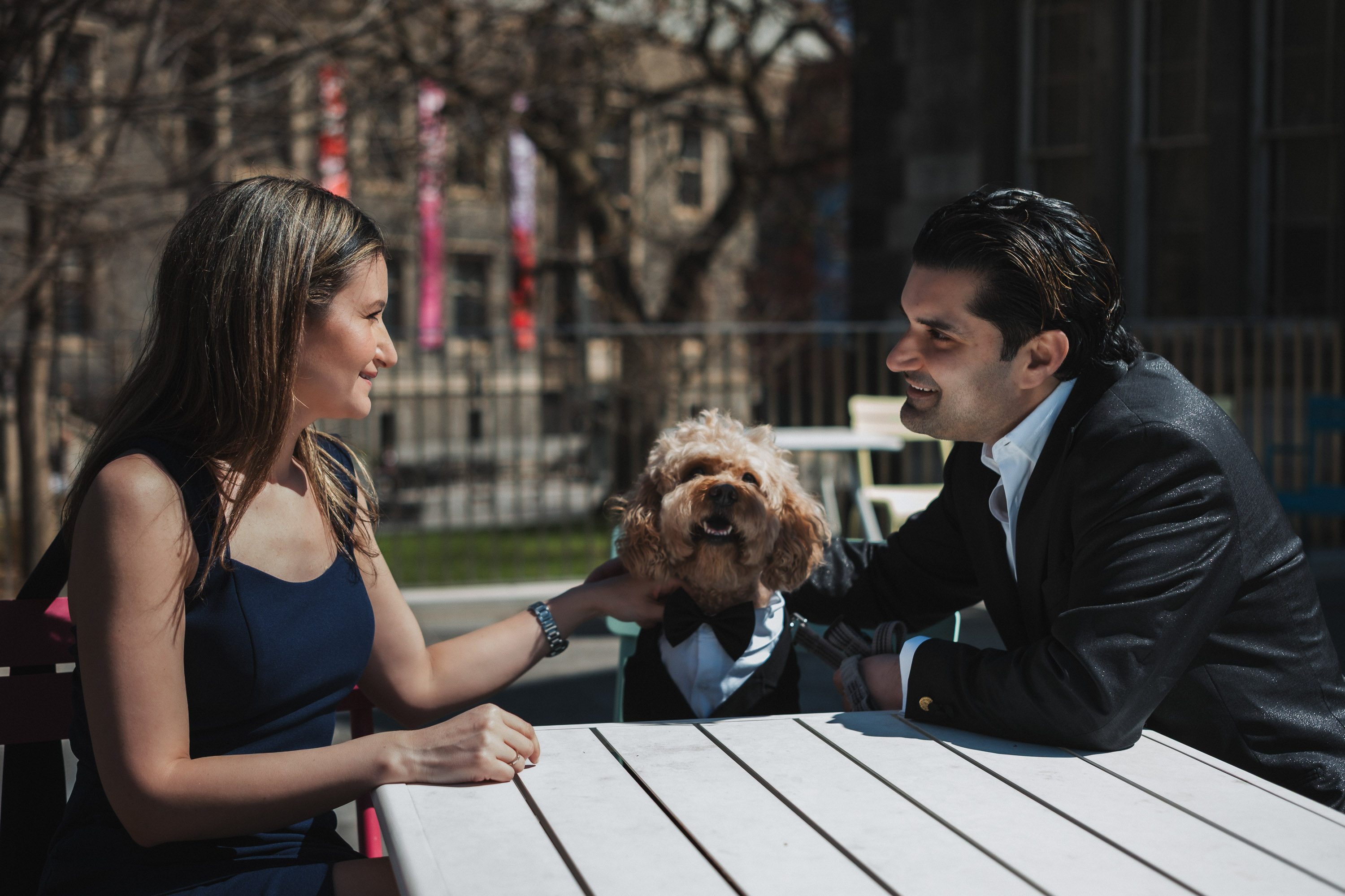 Engaged couple on a yacht in Toronto during a pre-wedding photoshoot