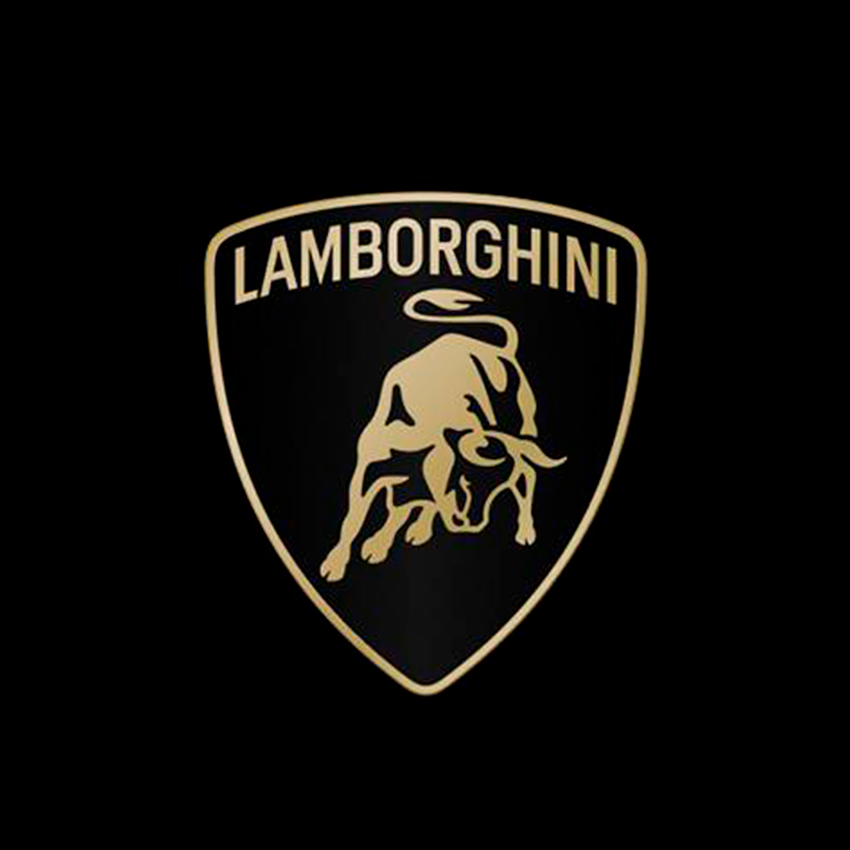 Lamborghini logo carrusel de clientes