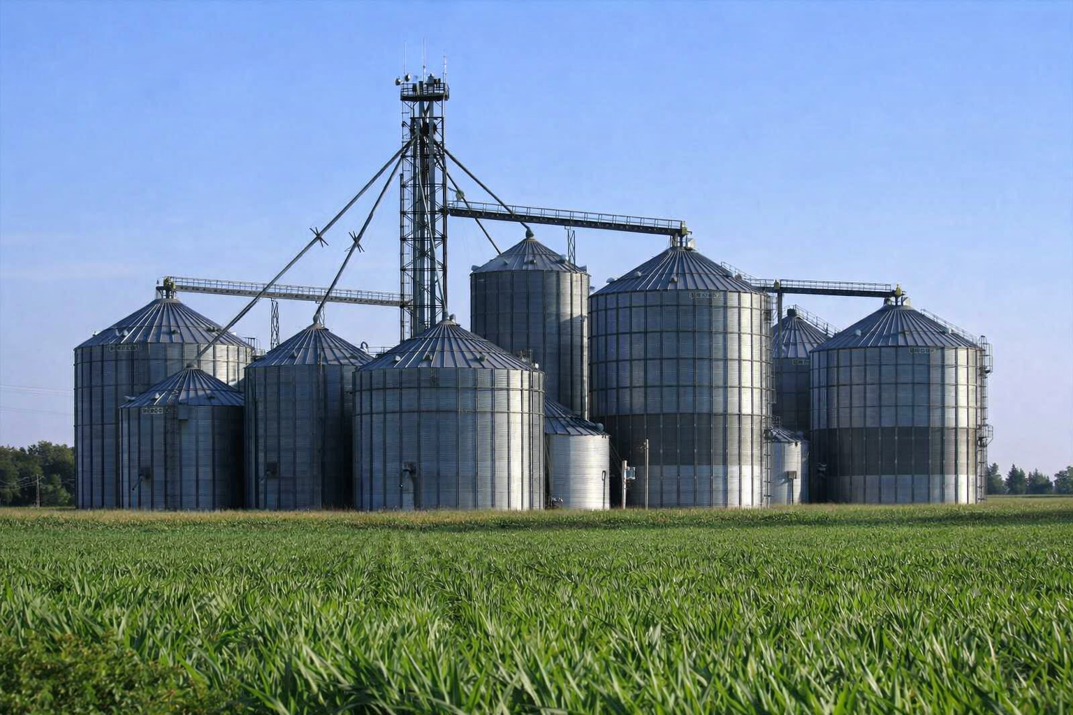 Grain storage silos at an agricultural processing facility