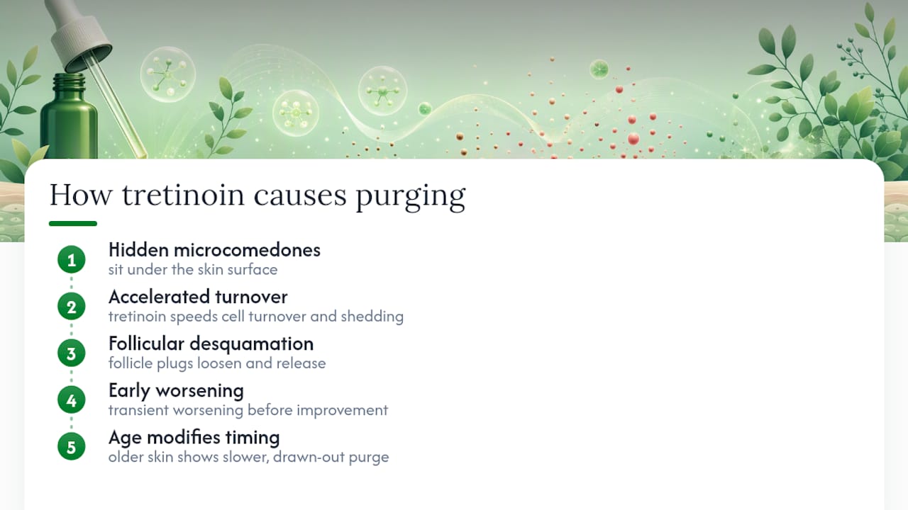 Why Tretinoin Causes Purging: The Mechanism Explained — overview diagram