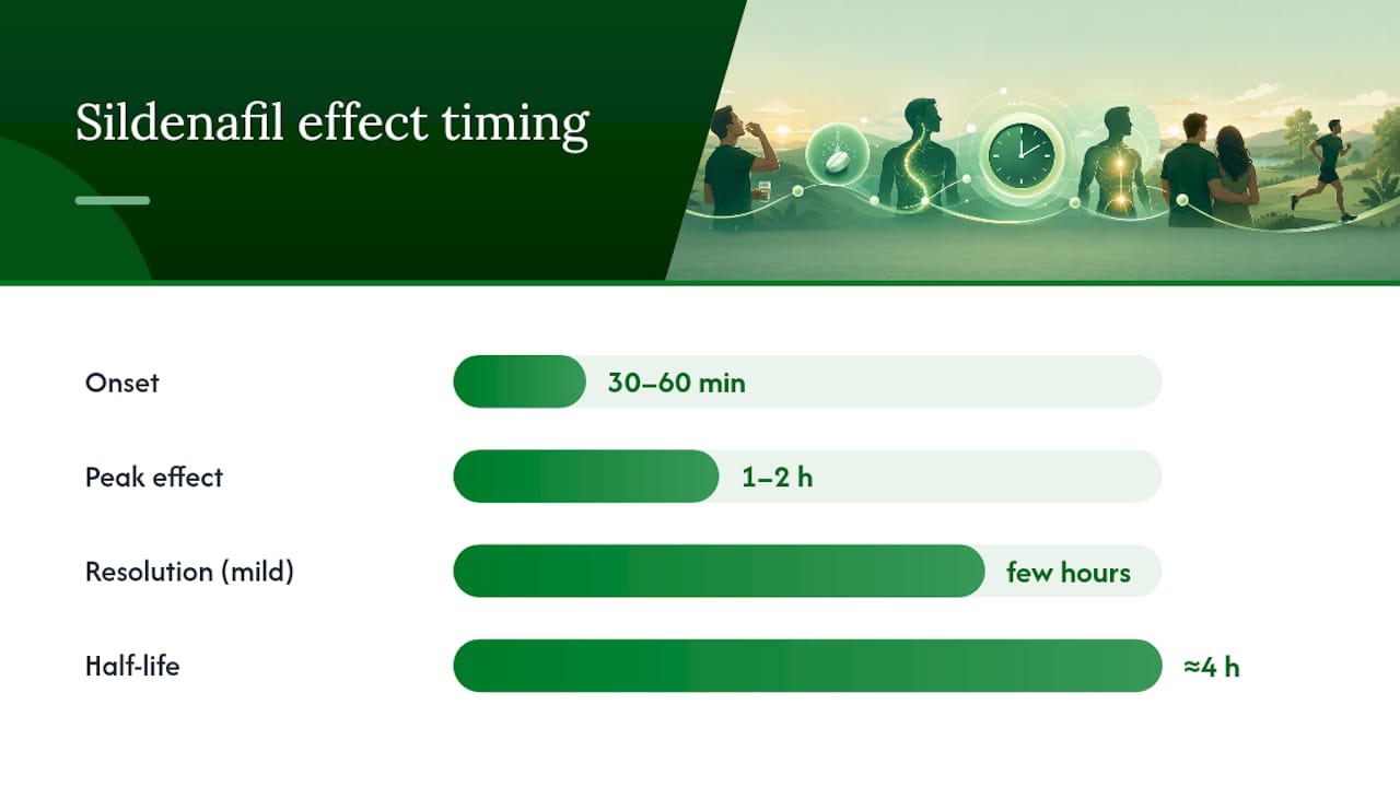 How Long Do Sildenafil Side Effects Last? — overview diagram