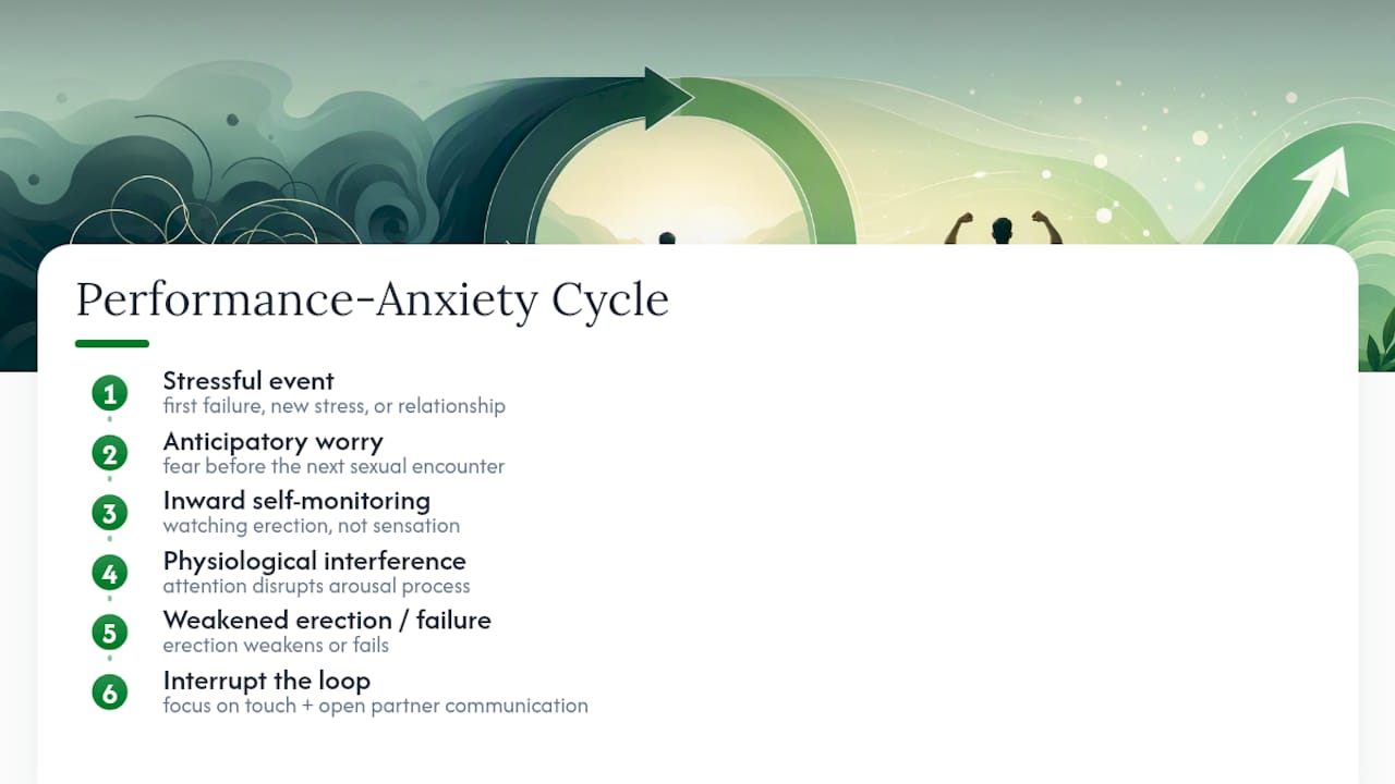 Performance anxiety ED cycle and interruption points