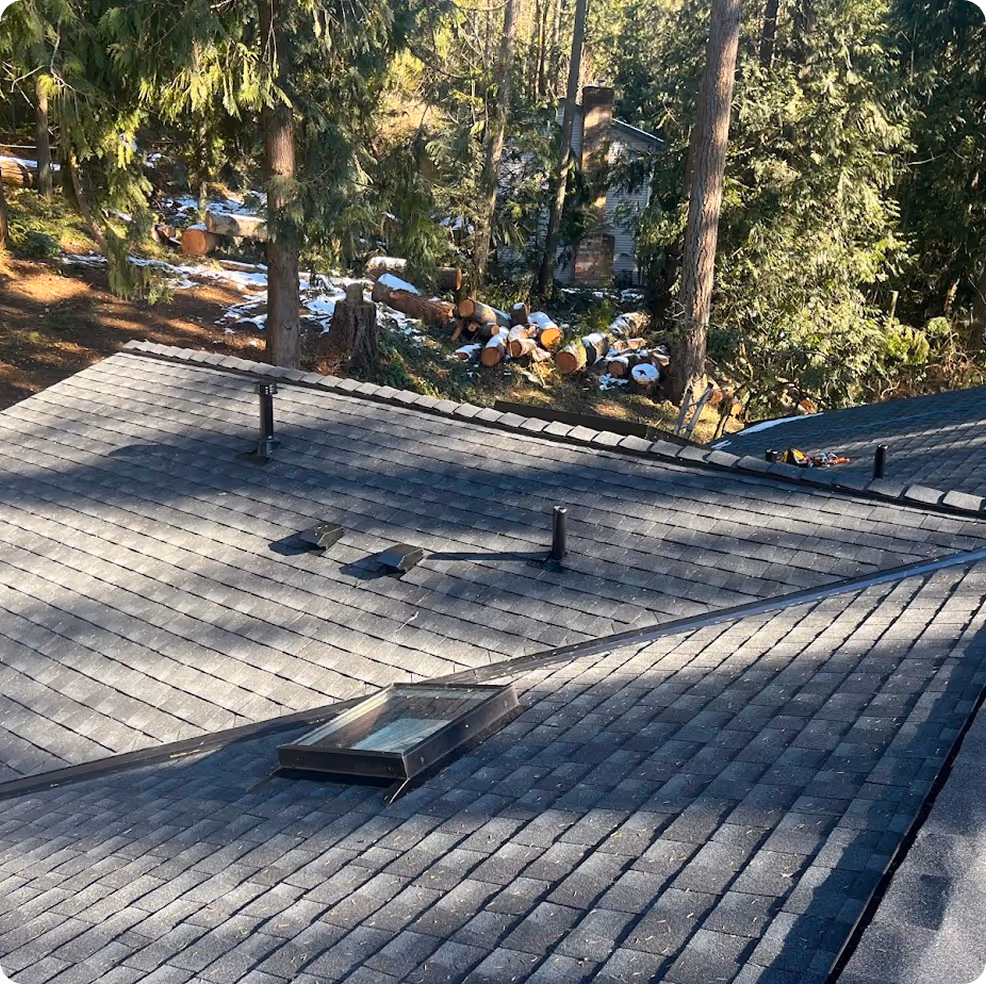 Gray shingled roof with a skylight and vents, surrounded by tall trees and cut logs on the ground.
