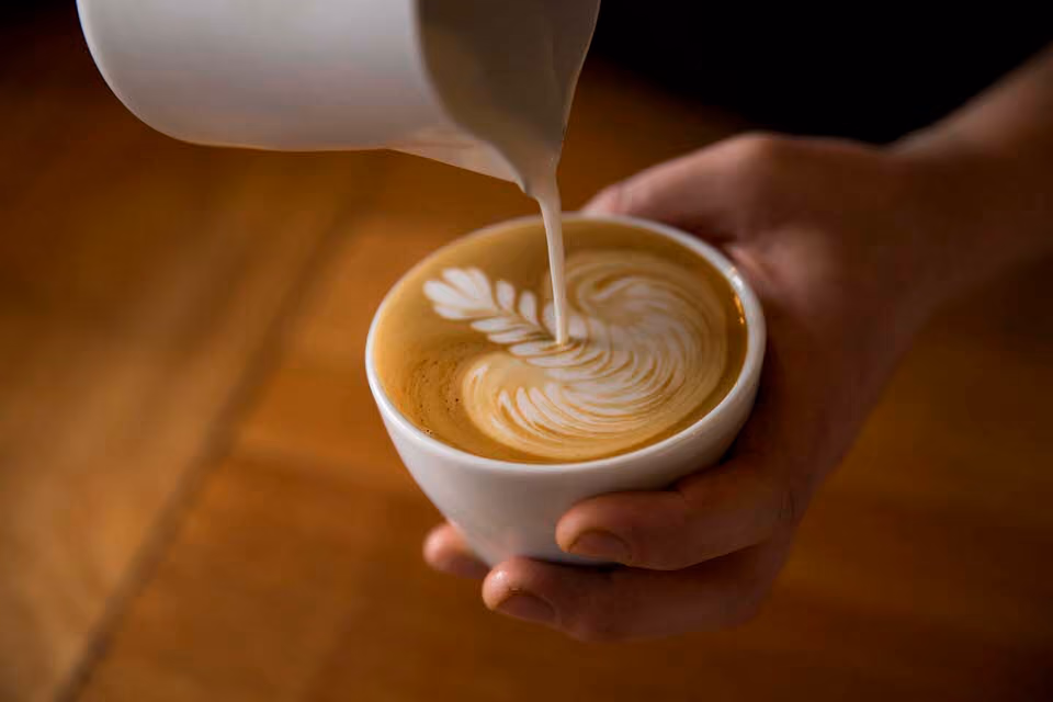 Milk poured into a cup to form fern latte art