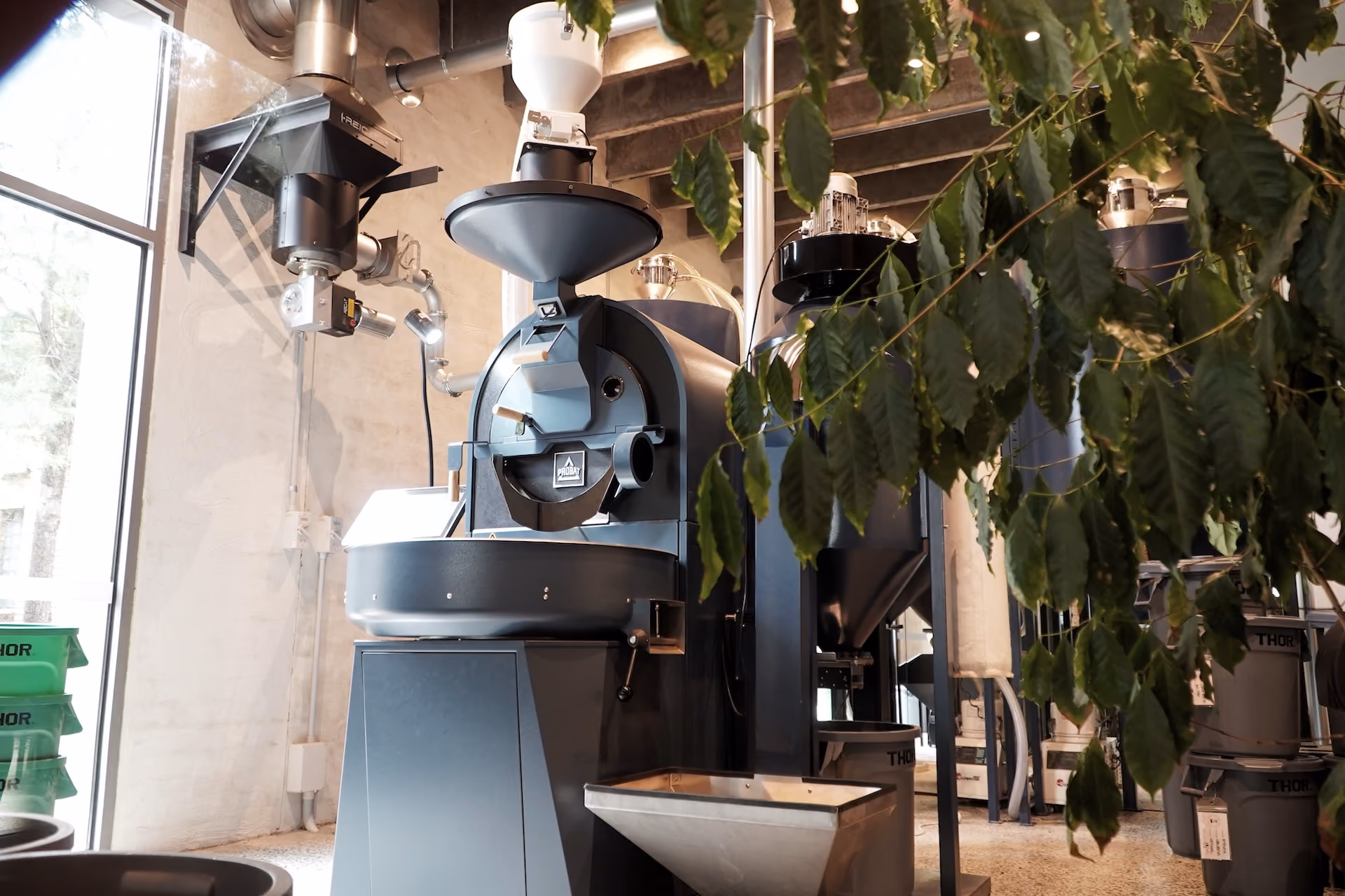Contraband roasting machines with a coffee plant branch in the foreground