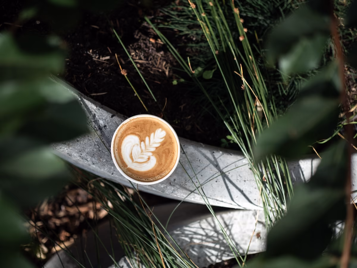 Latte with fern latte art set on a concrete ledge among greenery