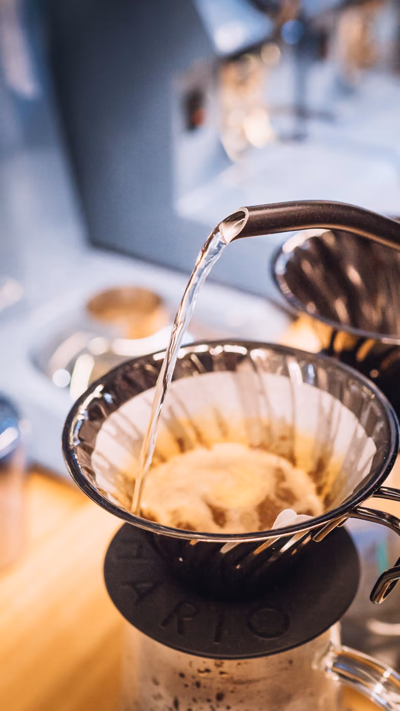 Hot water being poured into a Hario pour-over dripper with a paper filter