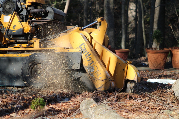 Yellow tracked forestry machine chipping wood with debris flying among fallen leaves and logs in a wooded area.