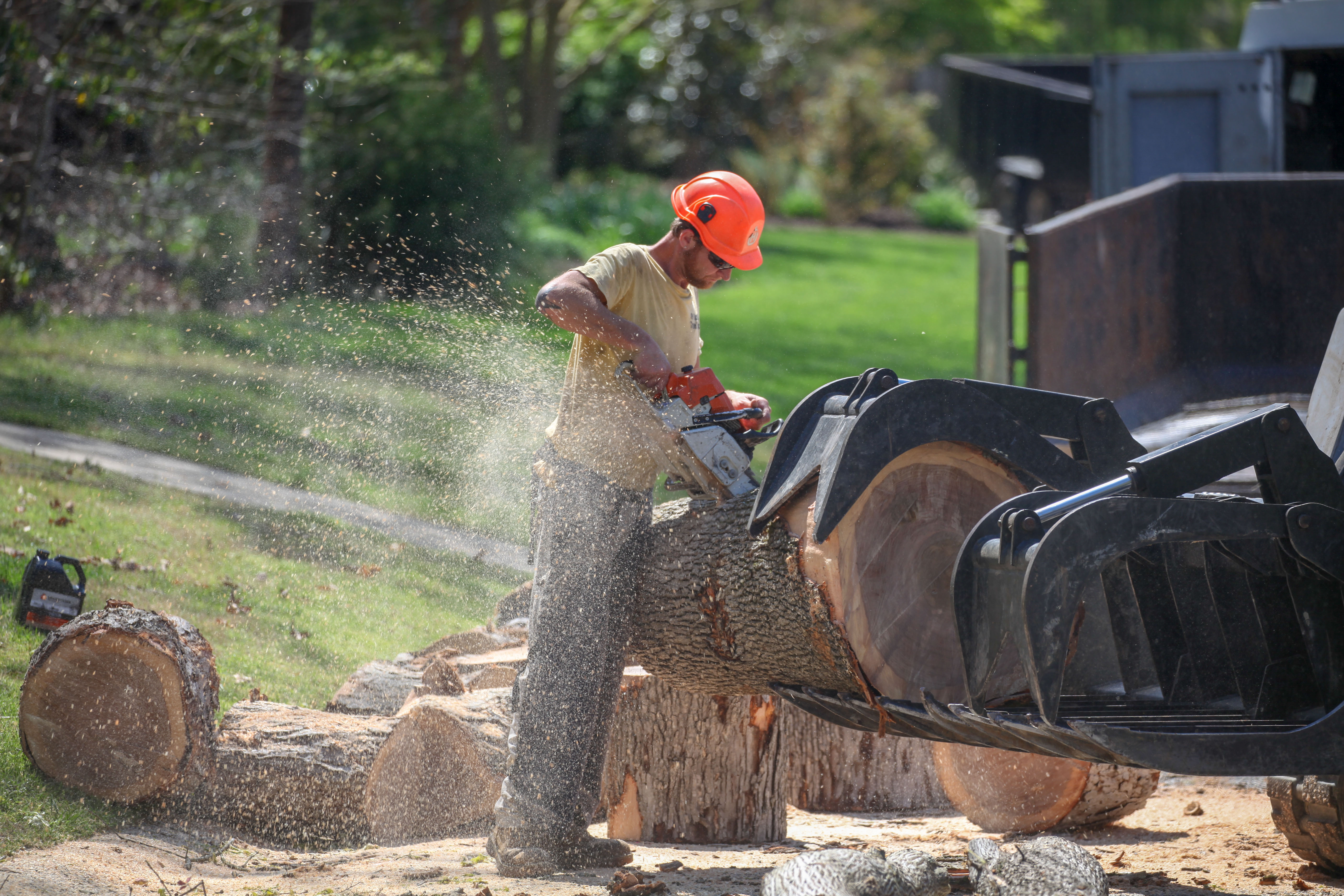Yellow construction machine churning dirt and debris in a wooded area with fallen leaves and logs.