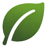 Simple green leaf icon with a white vein running from the stem to the tip.