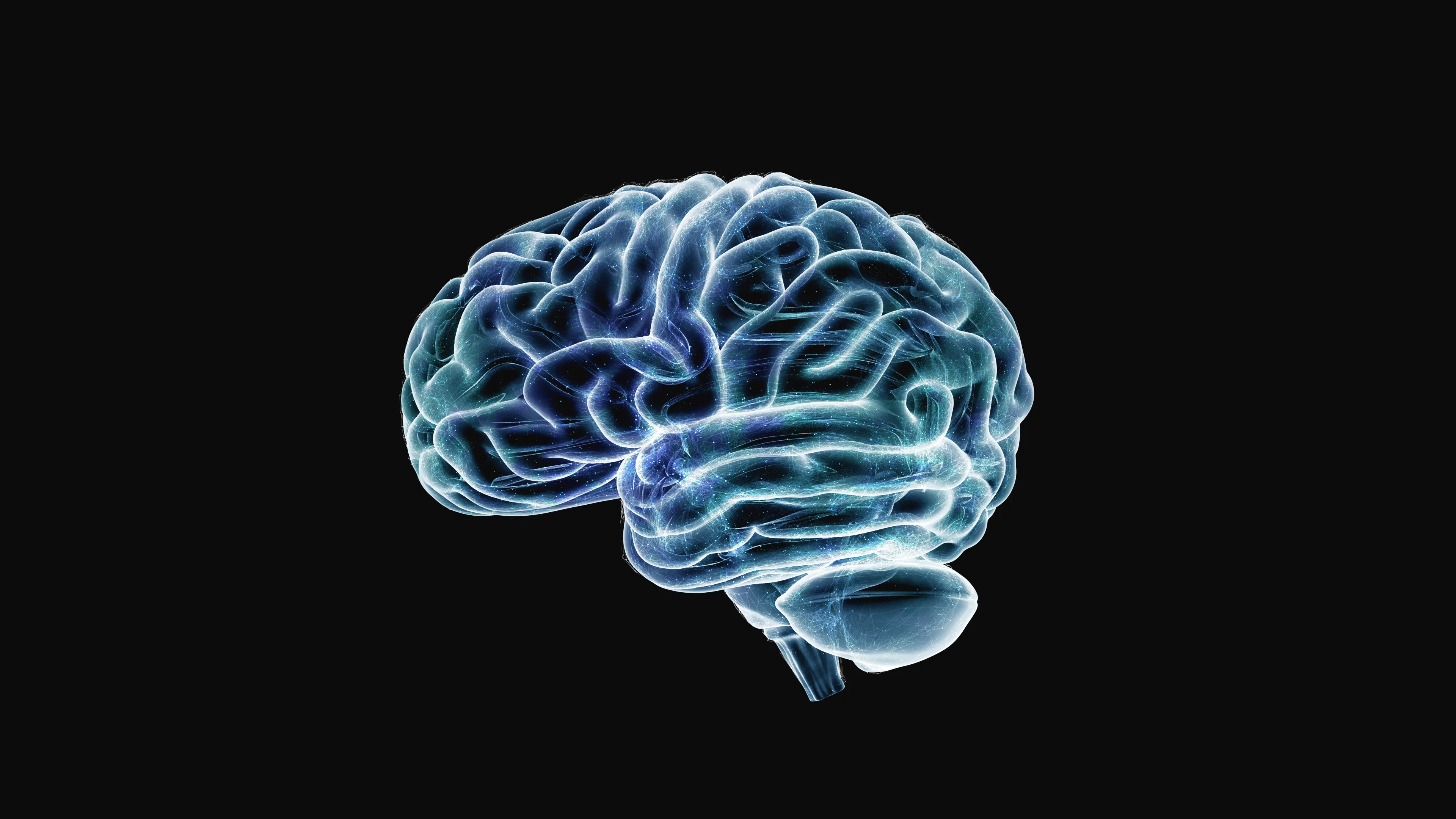 Brain in flow artwork