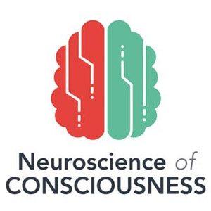 Flow and Intuition, Neuroscience of Consciousness, 2025