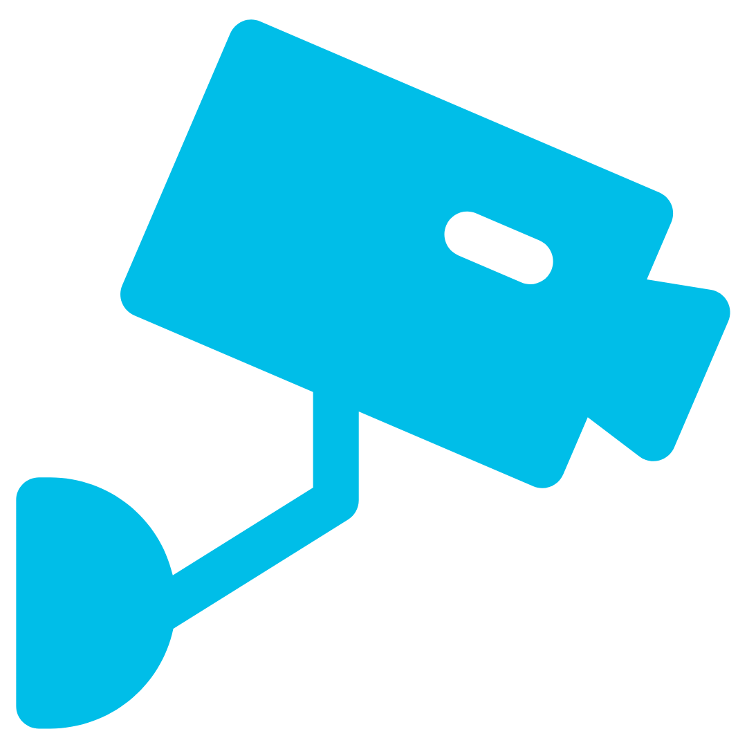 White security camera icon on a black background.