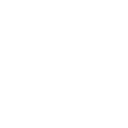 Vertically Integrated