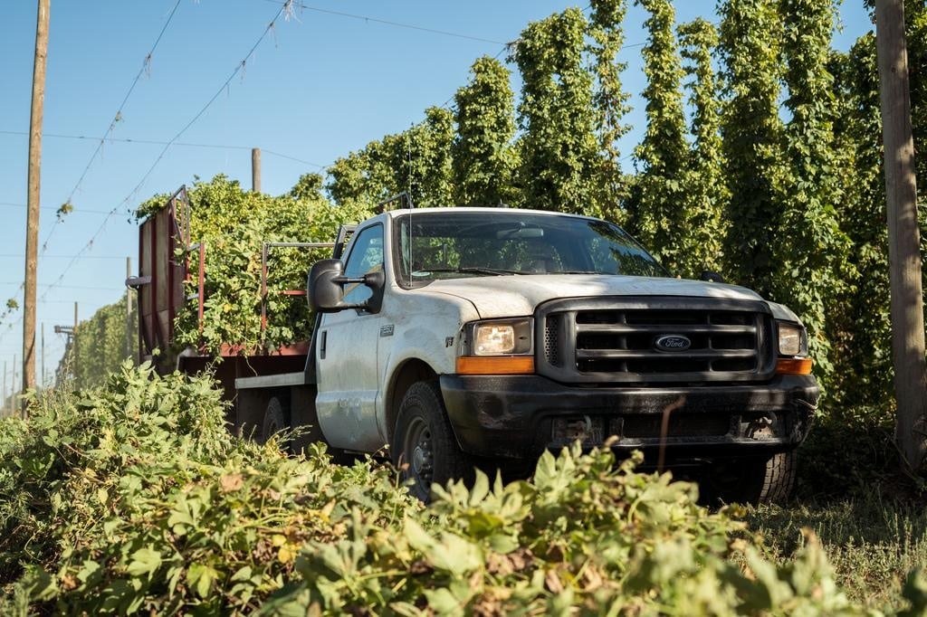 A specialized high-clearance harvester operating between trellis rows under a clear blue Yakima sky.