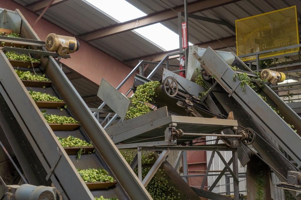 Detailed view of the precision sorting mechanism that ensures consistent quality of BetaTec hop ingredients.
