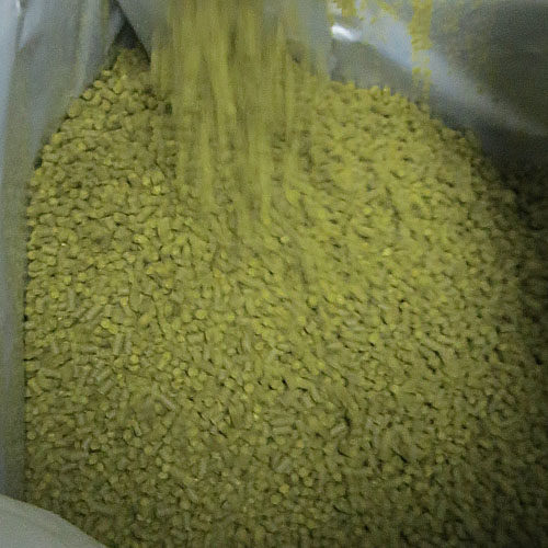 Hops pelletize