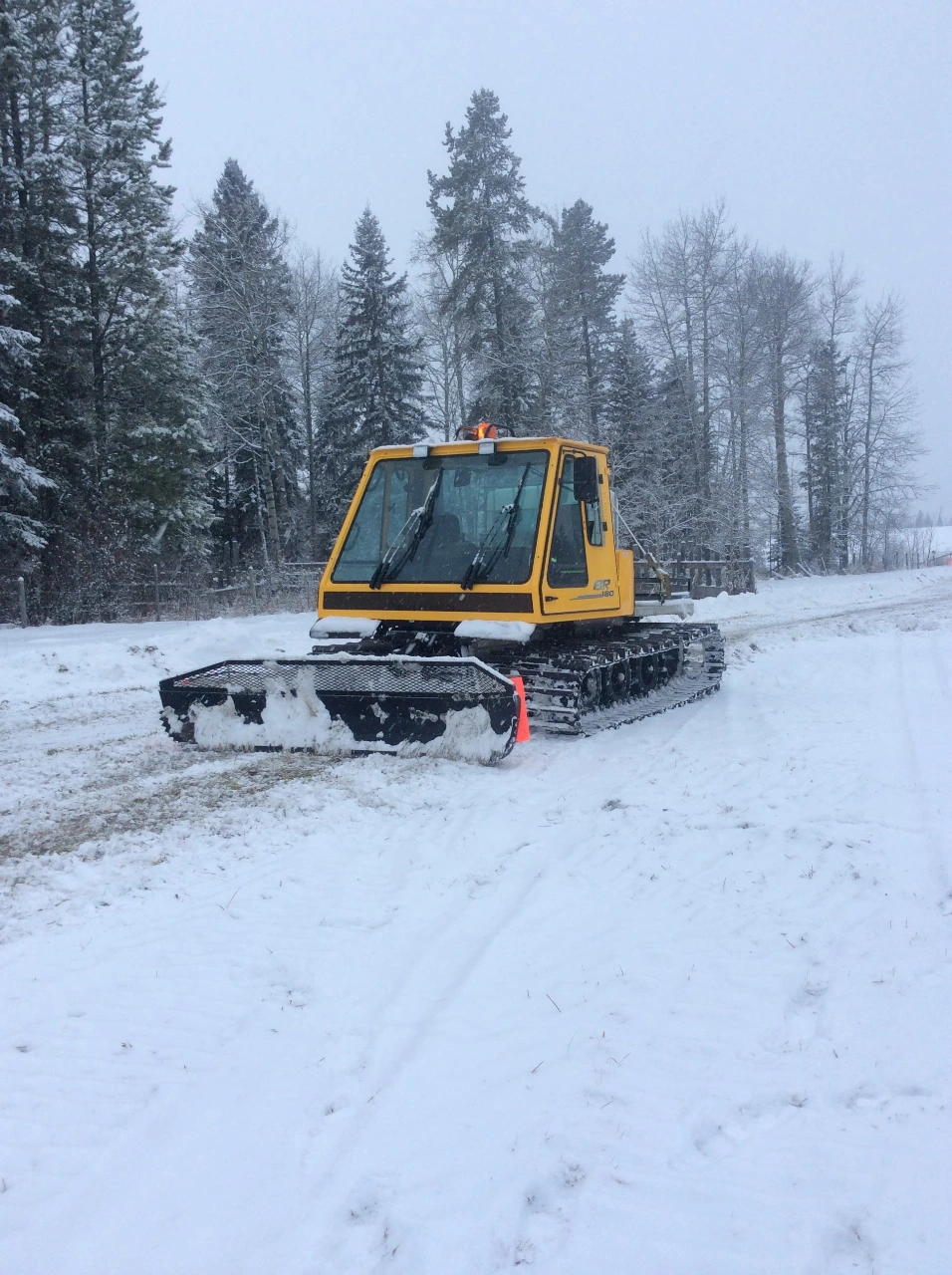 Yellow snow grooming machine on a snow-covered path surrounded by snow-dusted trees.