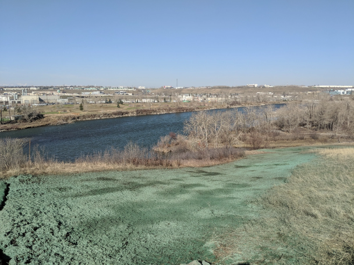 River bordered by dry trees and green grass with an industrial area in the background under a clear blue sky.