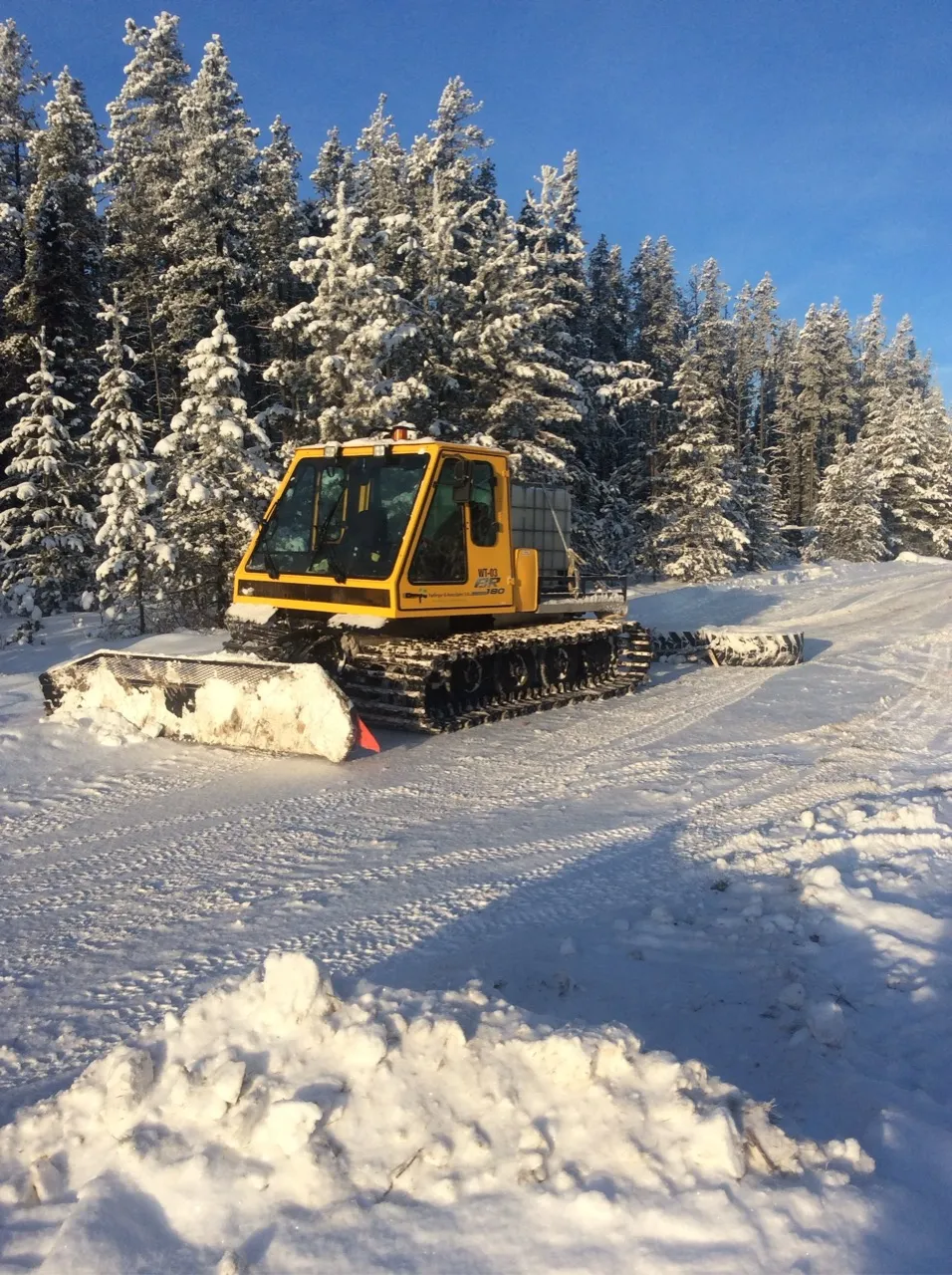 Yellow snowcat vehicle with a large front blade on a snow-covered trail surrounded by snow-laden pine trees under a clear blue sky.
