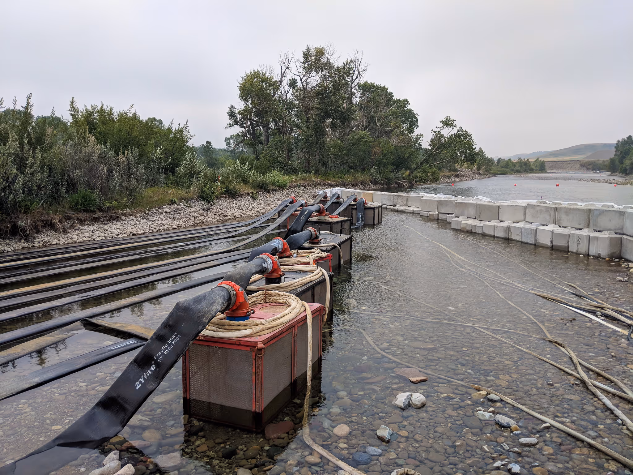 Industrial water pump system with large black hoses connected to red metal bases in a shallow rocky riverbed, bordered by trees and concrete barriers.