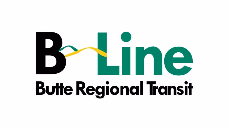 B-Line Rebrand - Hypothetical Case Stud