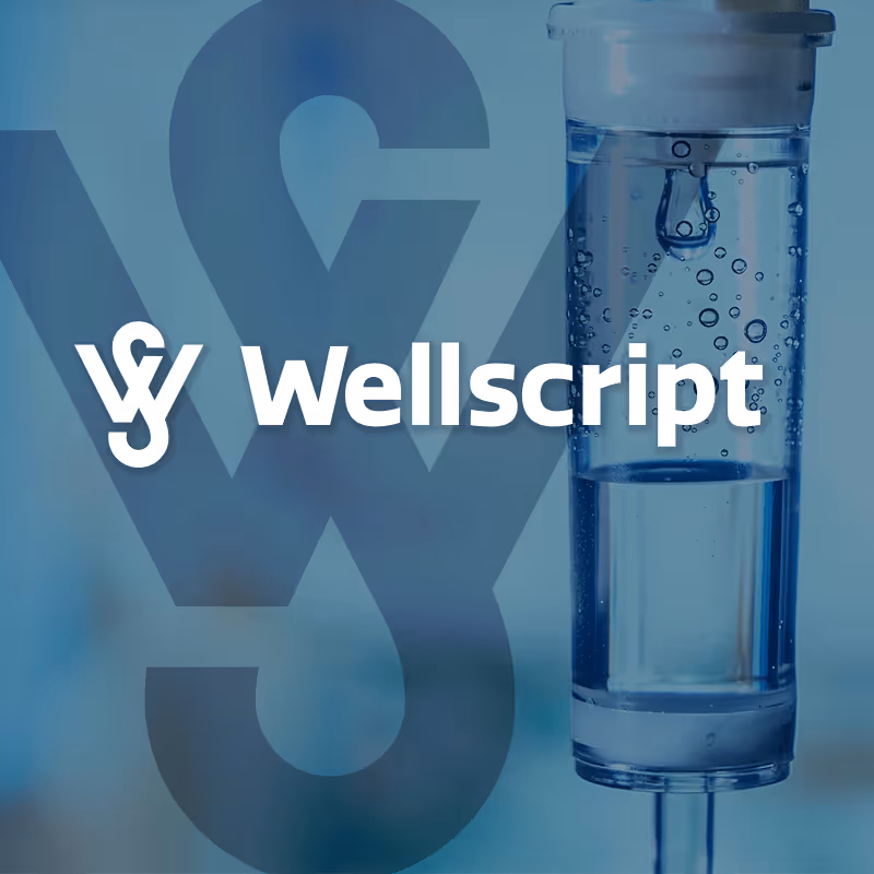 Wellscript Brand Identity