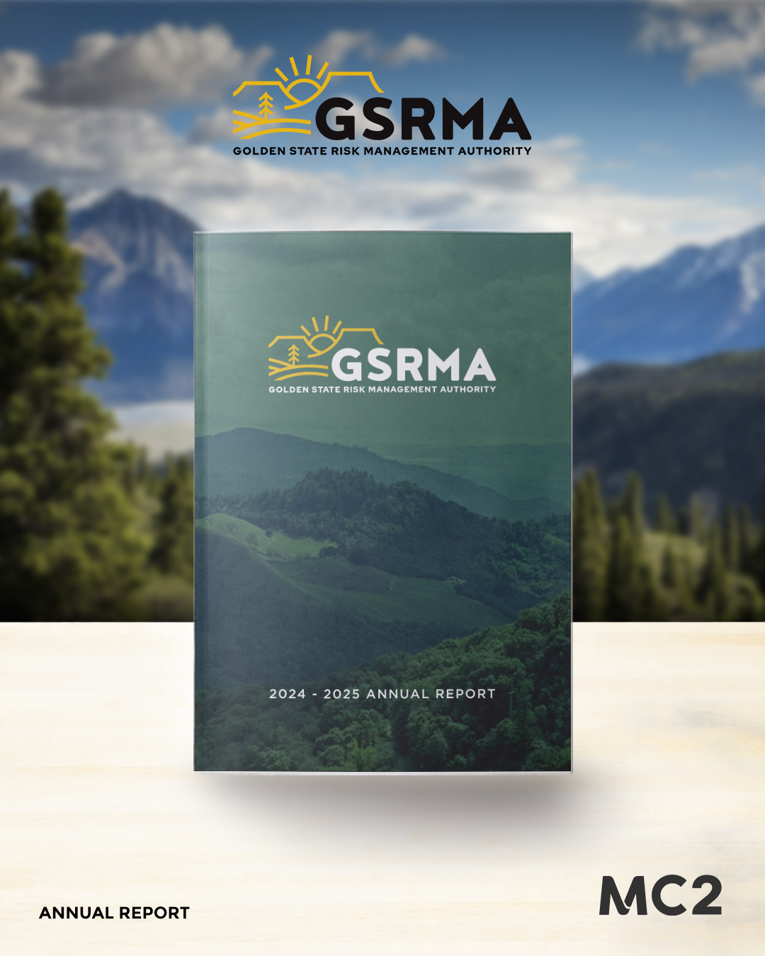 GSRMA Annual Report